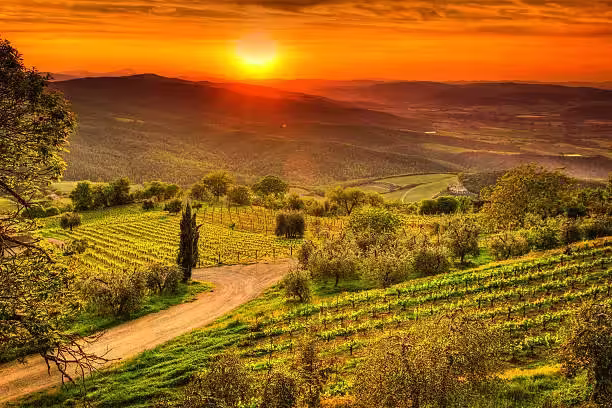 Chianti wine tour from Florence