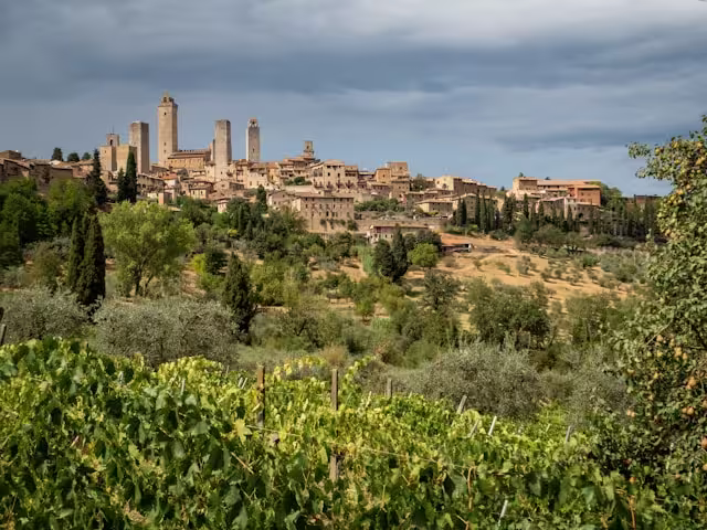 Overview of the wine tours from Florence