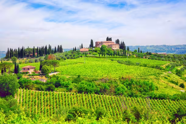 Private transfer to Chianti